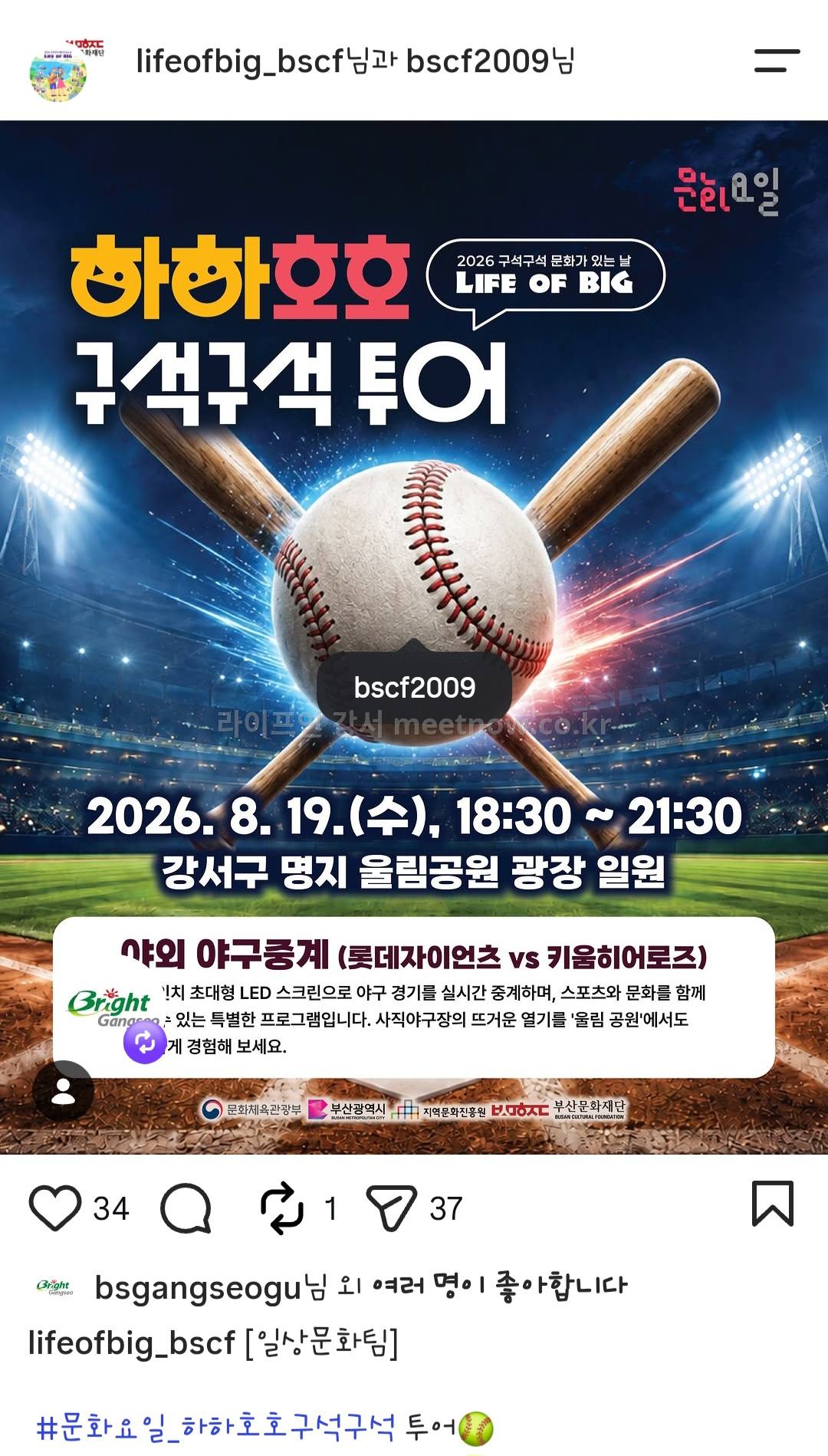 야구 야외중계하네요~